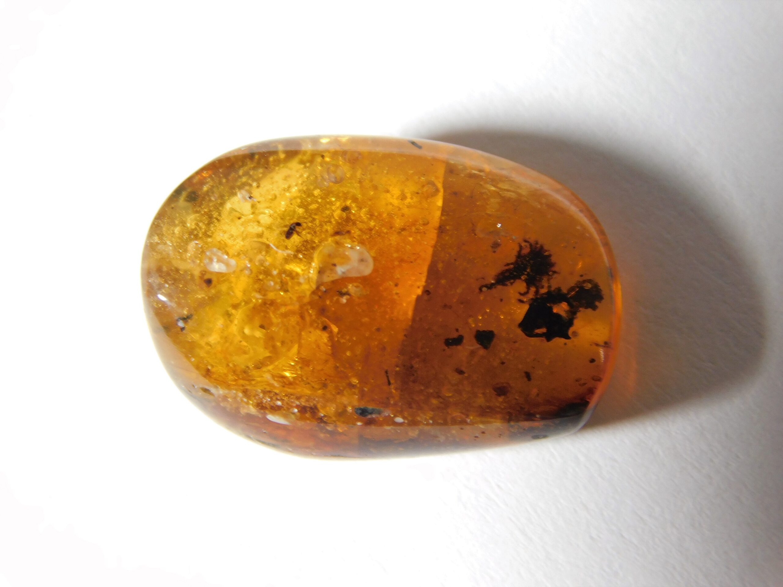 Flower in Cretaceous Amber - Image 4