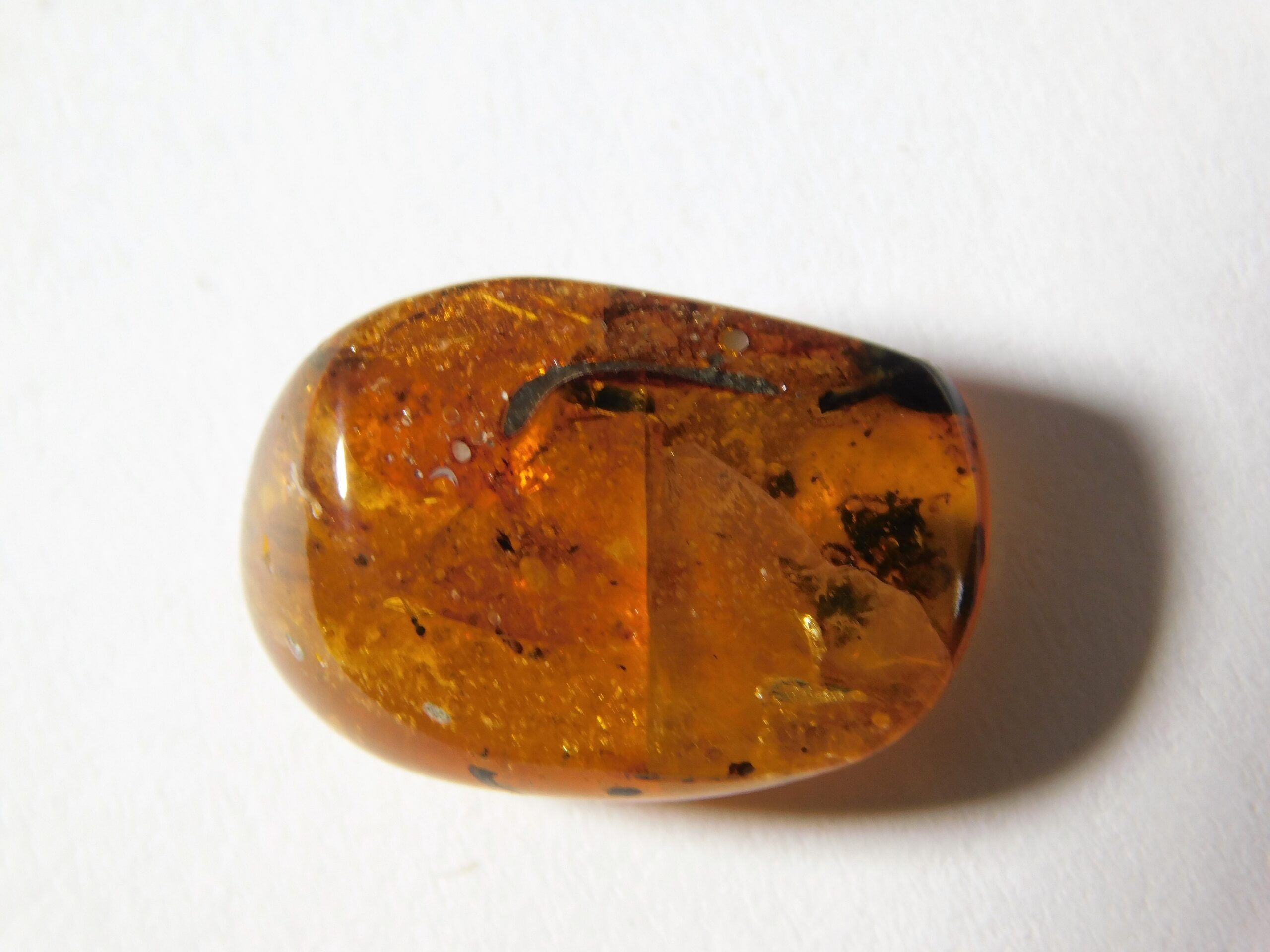 Flower in Cretaceous Amber - Image 2
