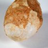 Cretaceous Bird Egg - Gobipteryx - Image 5