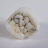 Ailuropoda melanoleuca - Image 4