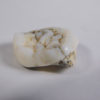 Ailuropoda melanoleuca - Image 2