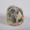 Ailuropoda melanoleuca - Image 3