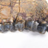 Homogalax sp. - Image 6