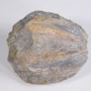 Enormous blastoid - Pentremites robustus - Image 4