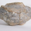 Enormous blastoid - Pentremites robustus - Image 6