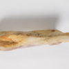 Spinosaurus aegyptiacus - Image 2