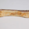 Spinosaurus aegyptiacus - Image 3