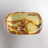 Flower in Cretaceous Amber, The Natural Canvas