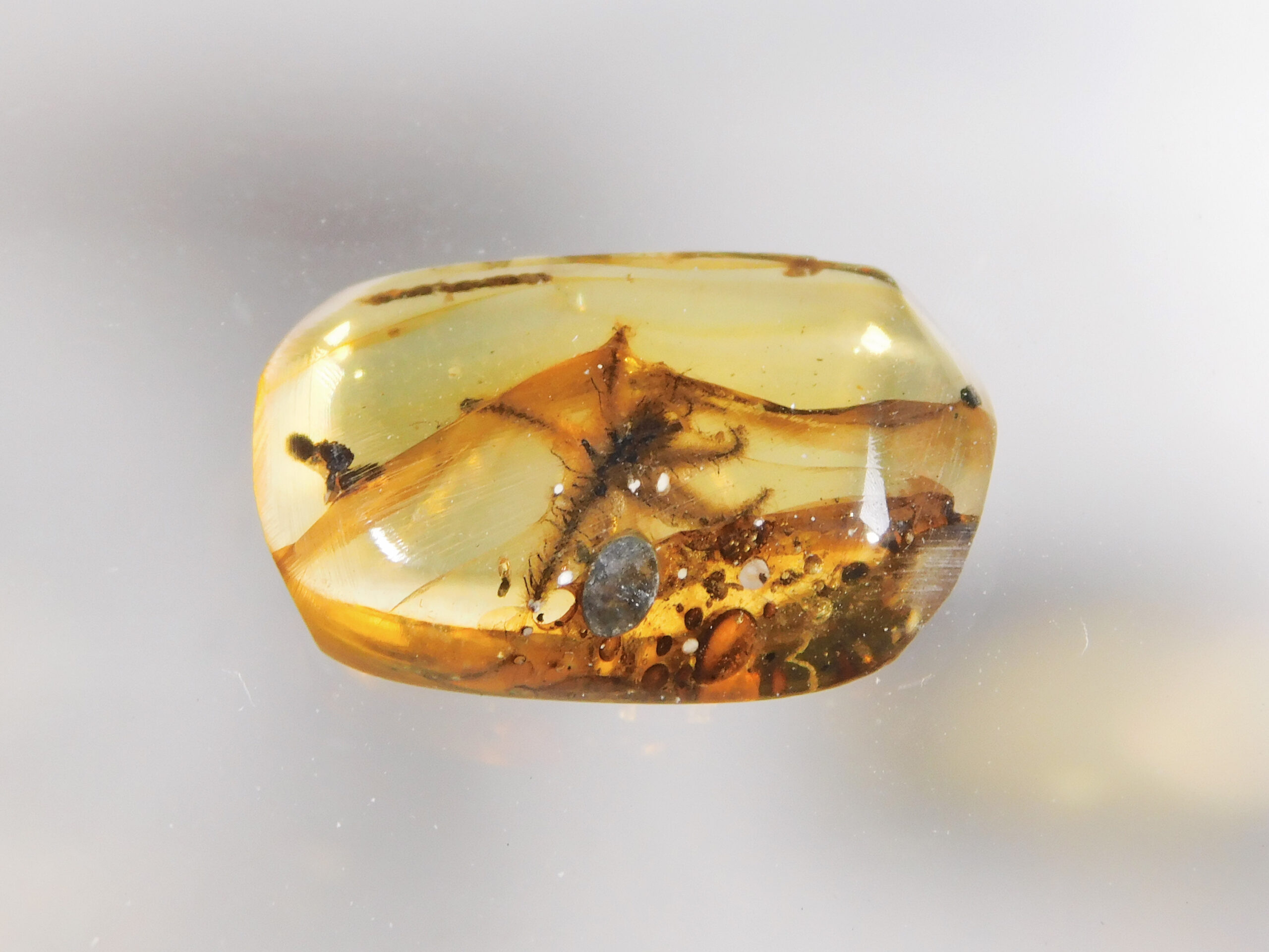 Flower in Cretaceous Amber - Image 3