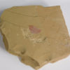 Isoxys - Image 3