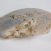 Translucent ammonite - Image 3