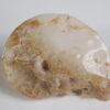 Translucent ammonite - Image 4
