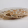 Translucent ammonite - Image 6