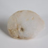 Translucent ammonite - Image 5