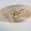Translucent ammonite - Image 3