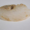 Translucent ammonite - Image 4