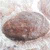 Cephalaspid Fish from Norway - Kiaeraspis - Image 2