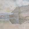 Orthoconic nautiloid with soft parts - Reticycloceras - Image 6