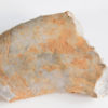 Nautiloid - Oneotoceras percurvatum - Image 3