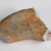 Nautiloid - Oneotoceras percurvatum - Image 4