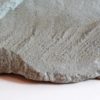 Precambrian Sea Pen - Inkrylovia lata - Image 2
