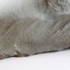 Precambrian Sea Pen - Inkrylovia lata - Image 3