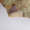 Archosaur tooth - Image 3