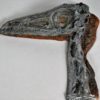 Coelophysis bauri - Image 2