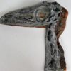 Coelophysis bauri - Image 6