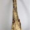 Rhadalognathus sp. - Image 3
