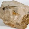 Orthoceras choctawense - Image 8