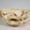 Cat skull - Image 7
