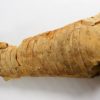 Richardsonoceras sp. - Image 8