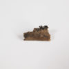 Pediomys krejcii - Image 2