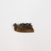 Pediomys krejcii - Image 3