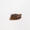 Pediomys krejcii - Image 4