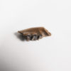 Pediomys krejcii - Image 2