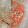 Strange flat-tailed carpoid - Plasiacystis - Image 4