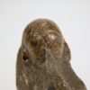 Goniatites americanus - Image 4