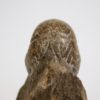 Goniatites americanus - Image 2