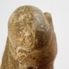 Goniatites americanus - Image 6
