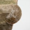 Goniatites americanus - Image 4