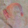 Rare trilobite &#8211; Eoharpes cristatus, The Natural Canvas