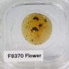 Cretaceous flower - Image 3