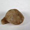 Behuninia provoensis - Image 5