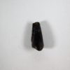 Ornithischian claw - Image 3