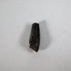 Ornithischian claw - Image 4