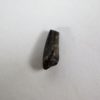 Ornithischian claw - Image 5