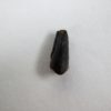 Ornithischian claw - Image 2