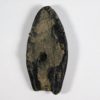Nipa burtini (Brogniart) - Image 3